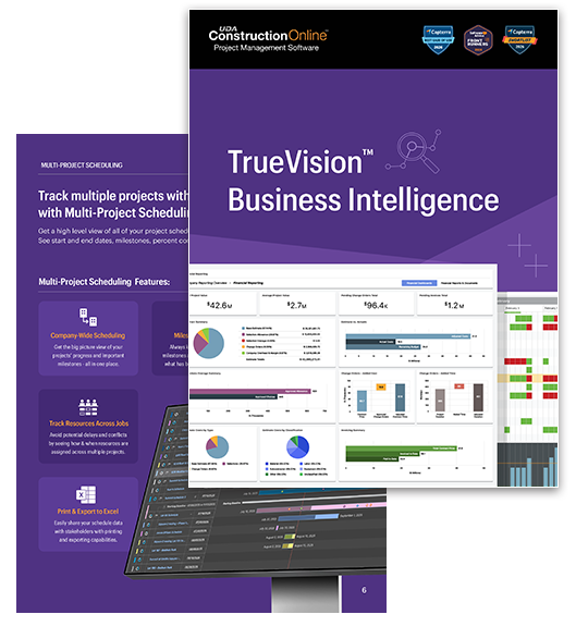 TrueVision Business Intelligence Ebook