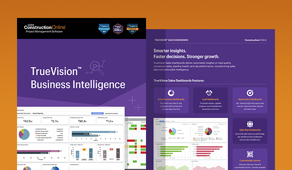 Ebook - TrueVision™ Business Intelligence
