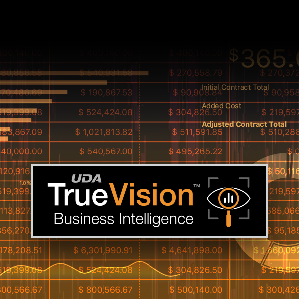 TrueVision Business Intelligence