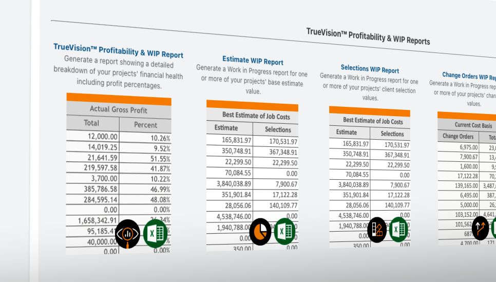 TrueVision Business Intelligence